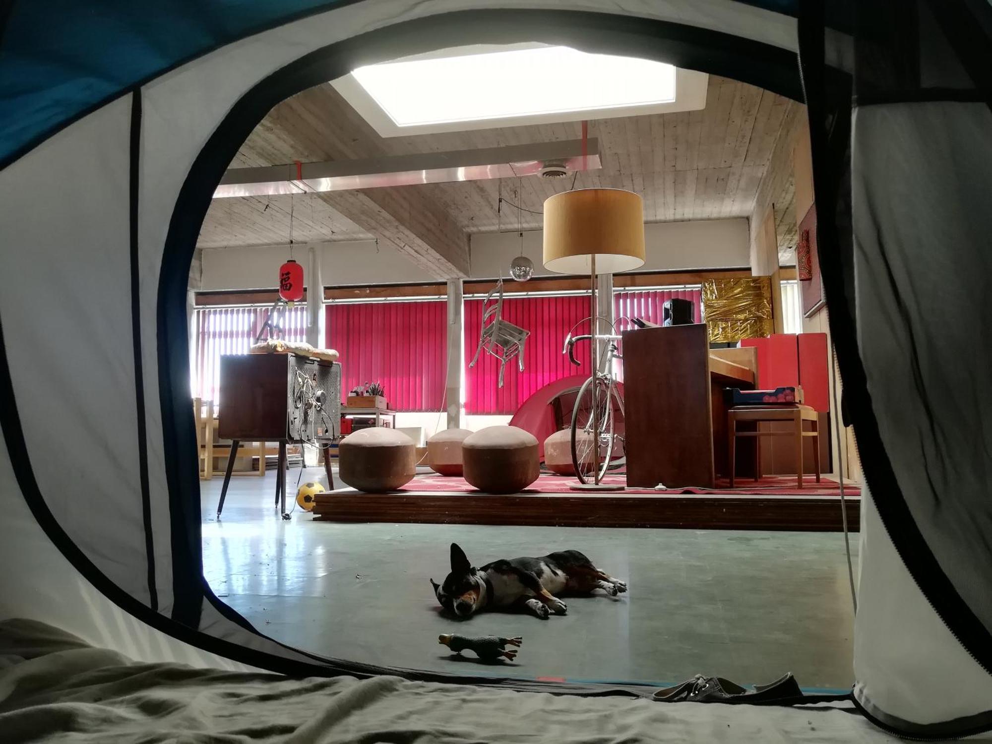 Alloggio in famiglia Ghostel 1st - Aventure Alternative - - Arts-factory-experience - For Artists, Makers And Open Minds - Attention, We Are Not A And Are Not Adapted For Everybody - Read Host Warnings Before Reservation - Www,providence,be Asbl