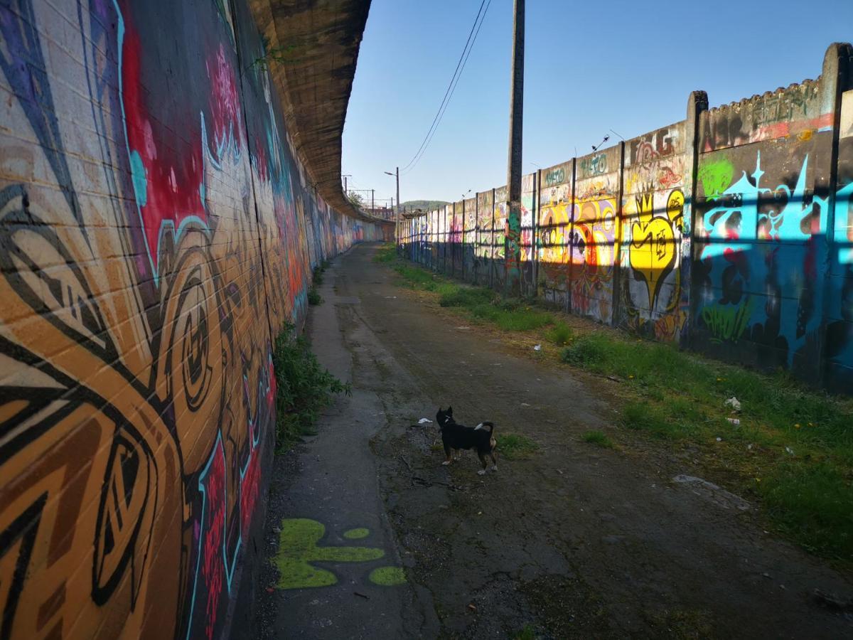Alloggio in famiglia Ghostel 1st - Aventure Alternative - - Arts-factory-experience - For Artists, Makers And Open Minds - Attention, We Are Not A And Are Not Adapted For Everybody - Read Host Warnings Before Reservation - Www,providence,be Asbl *